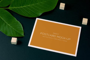 Homepage