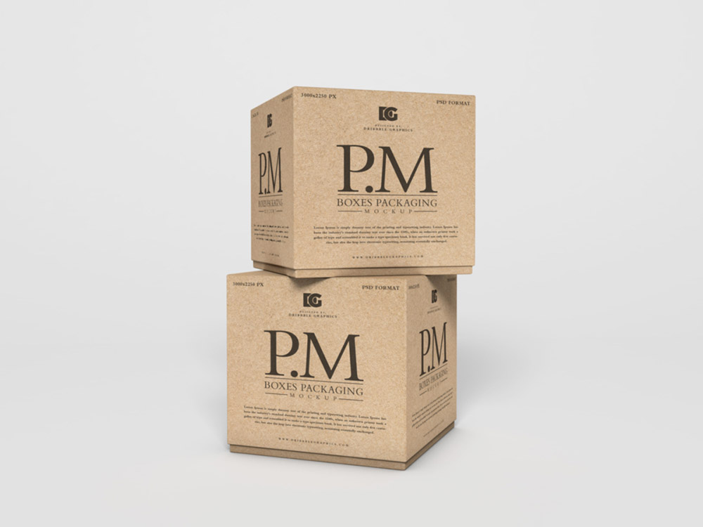 Free Packaging Box Mockup PSD