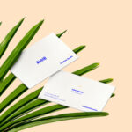 Business Cards and Palm Leaves Mockup Free Business Cards and Palm Leaves Mockup