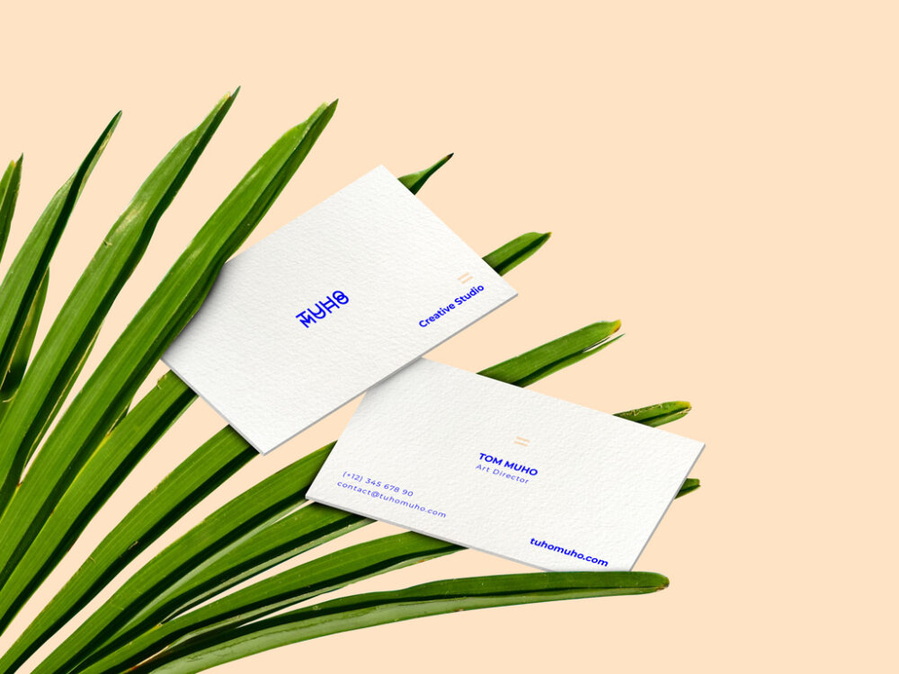 Free Business Cards and Palm Leaves Mockup